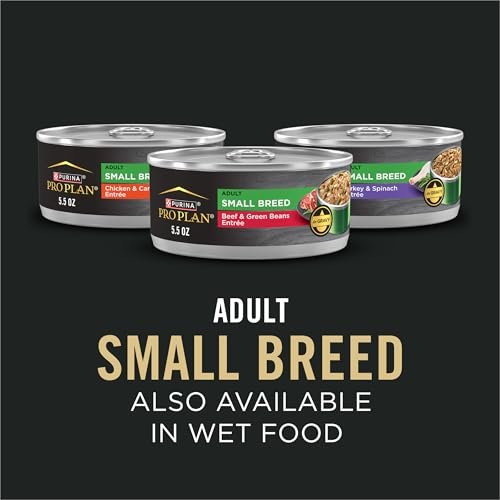 High-Protein Small Breed Dog Food: Chicken & Rice Nutrition for Active Pets - Image 8