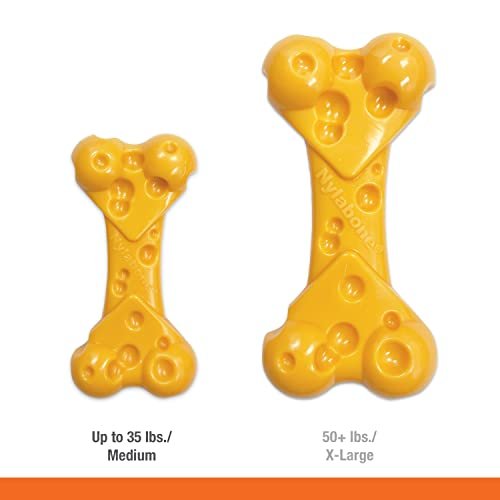 Nylabone Cheese Flavor Dog Chew Toy, Durable for Aggressive Chewers - Image 5