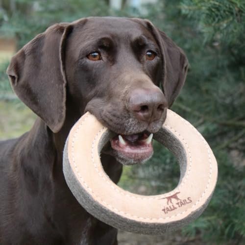Durable Leather Ring Dog Toy - Interactive Fetch Training Chew Toy - Image 8