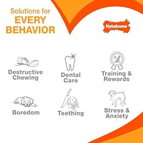 Nylabone Cheese Flavor Dog Chew Toy, Durable for Aggressive Chewers - Image 9