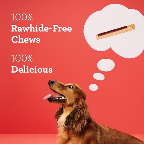 Healthy Chicken Veggie Dog Chews | Rawhide Free DreamBone Sticks (9 Count) - Image 4