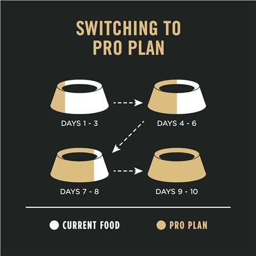 Purina Pro Plan Sensitive Stomach Adult Dog Food, Salmon & Rice, Digestive Health - Image 11