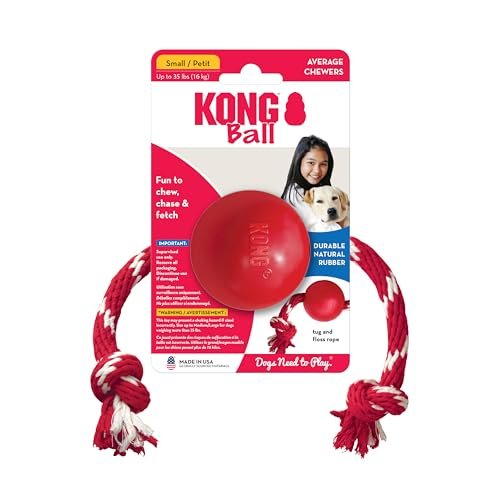 KONG Red Rubber Ball with Rope for Small Dogs – Durable Fetch Toy - Image 2