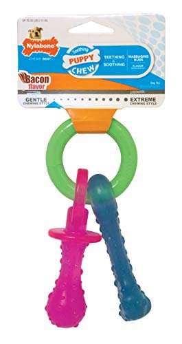 Puppy Teething Relief Chew Toy | Bacon Flavor Nylabone Pacifier | Small Breed - Image 9
