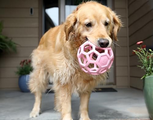 Interactive Dog Puzzle Ball Toy - Large Natural Rubber Roller for Mental Stimulation - Image 3