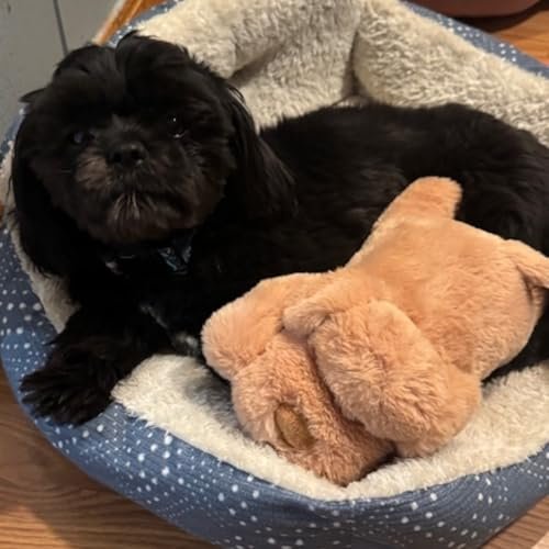 Snuggle Puppy Small Breed Anxiety Relief Toy w/ Heartbeat & Heat - Image 9