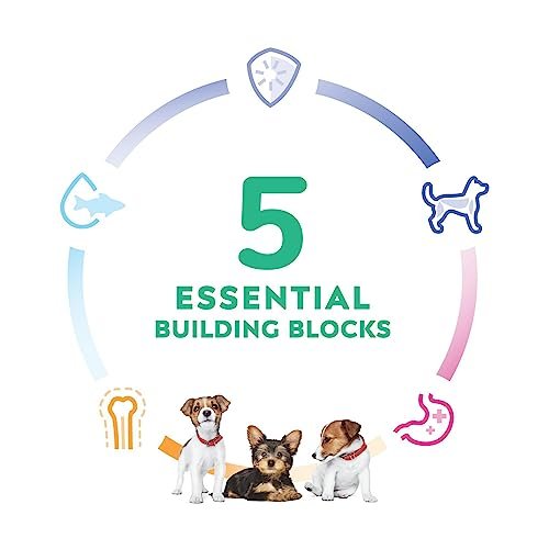 Hill's Science Diet Small Breed Puppy Food | Chicken & Whole Grains | Premium Nutrition - Image 8