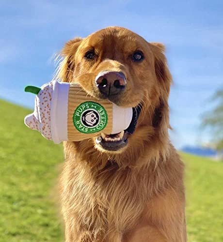 Pup'kin Spice Latte Dog Toy: Squeaky Fall Coffee Plush for All Breeds - Image 5