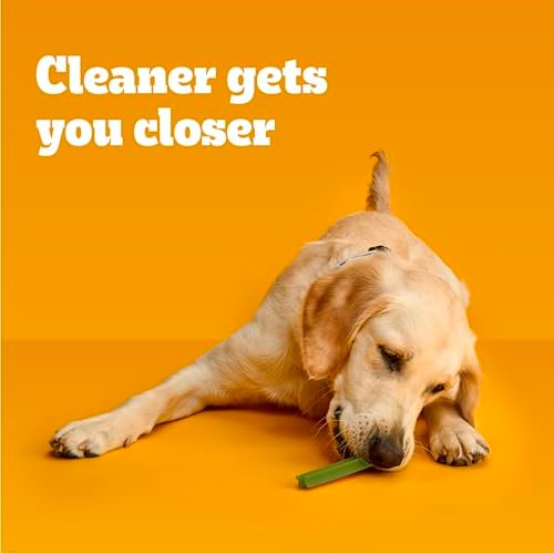 Pedigree Dentastix Fresh Large Dog Dental Treats, 1.46 lb, 28 Count - Image 6