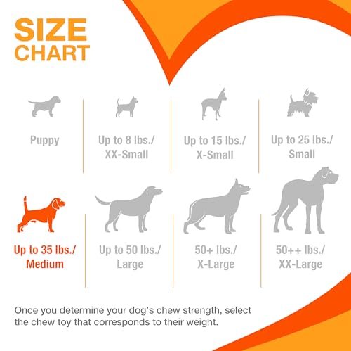 Nylabone Cheese Flavor Dog Chew Toy, Durable for Aggressive Chewers - Image 4