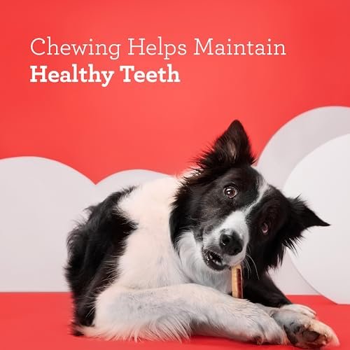 Healthy Chicken Veggie Dog Chews | Rawhide Free DreamBone Sticks (9 Count) - Image 6