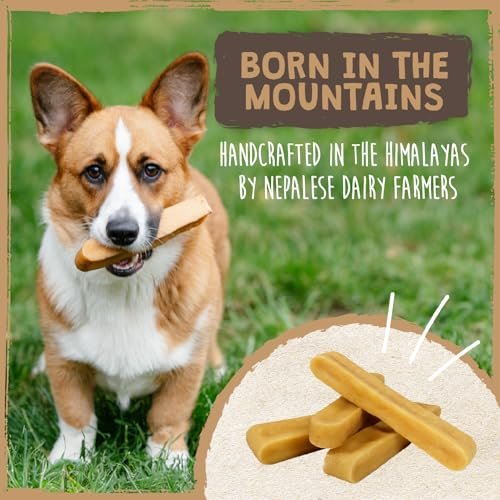 Mighty Paw Yak Cheese Dog Chews Large 4 Pack – High Protein Treats - Image 7