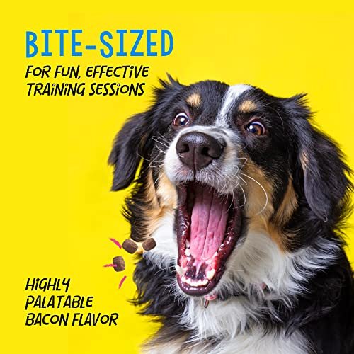 Crazy Dog Train-Me! Bacon Dog Training Treats, 16oz – Tasty & Low-Cal - Image 4