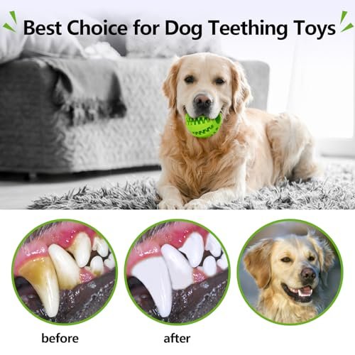 Interactive Dog Treat Toys: Durable Rubber Chew Balls for Small & Medium Dogs - Image 5