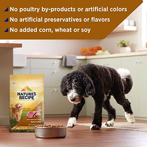 Senior Dog Nutrition: Nature's Recipe Lamb & Brown Rice Dry Food, 24 lb - Image 7