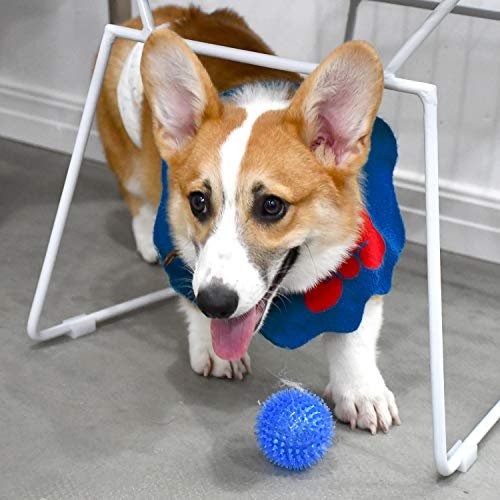 Small Dog Squeaky Balls 6-Pack: Interactive Chew Teething Toys for Puppies - Image 7