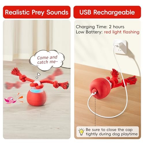 Interactive Squeaky Dog Ball Toy – Rechargeable, Touch-Activated, Red - Image 6