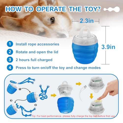 Interactive Dog Ball Toy: Motion Activated, USB Rechargeable, Training & Play - Image 7