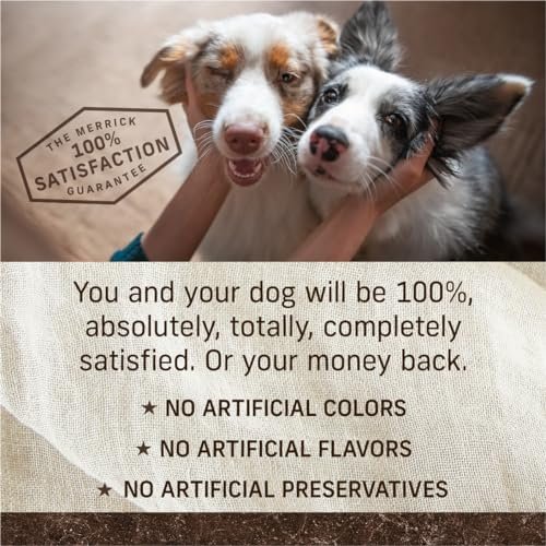Merrick Grain Free Adult Dog Food - Real Salmon & Sweet Potato Recipe, 22 lb - Image 7