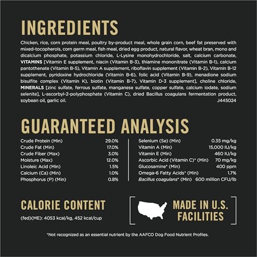 High-Protein Small Breed Dog Food: Chicken & Rice Nutrition for Active Pets - Image 5