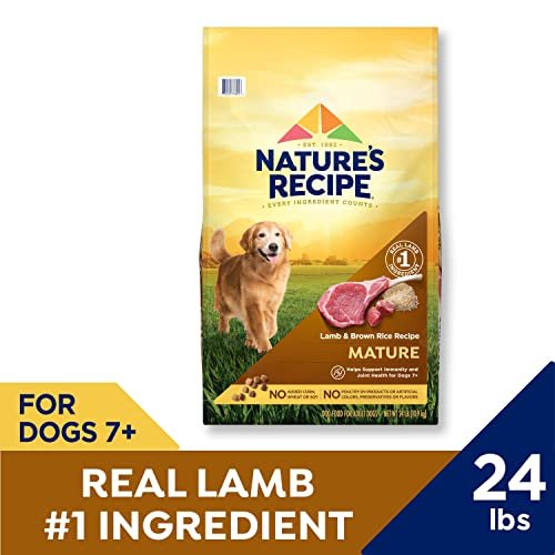 Senior Dog Nutrition: Nature's Recipe Lamb & Brown Rice Dry Food, 24 lb - Image 2