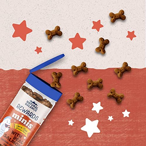 Natural Balance Salmon Dog Training Treats, Grain-Free, 5.3 oz Canister - Image 3