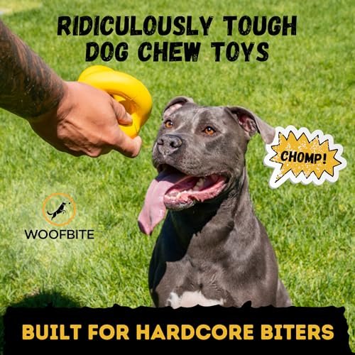 Durable Dog Chew Toy for Large Dogs - Indestructible Ring Ball, Lifetime Guarantee - Image 2