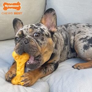 Nylabone Cheese Bone Power Chew Toy for Dogs, Cute Dog Toys for Aggressive Chewers, Cheese Flavor, Medium - Up to 35 lbs, 1 Count