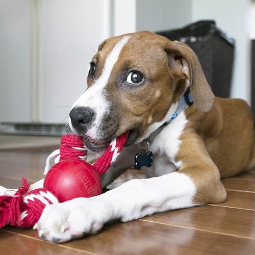 KONG Red Rubber Ball with Rope for Small Dogs – Durable Fetch Toy - Image 3