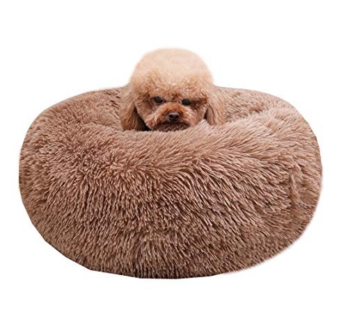 BODISEINT Modern Soft Plush Round Pet Bed for Cats or Small Dogs, Mini Medium Sized Dog Cat Bed Self Warming Autumn Winter Indoor Snooze Sleeping Cozy Kitty Teddy Kennel (24'' D x 8'' H, Coffee)