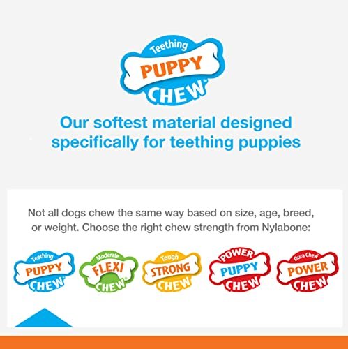 Puppy Teething Relief Chew Toy | Bacon Flavor Nylabone Pacifier | Small Breed - Image 4