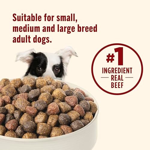 Rachael Ray Nutrish Beef & Brown Rice Dry Dog Food, 6 lb Bag - Image 6
