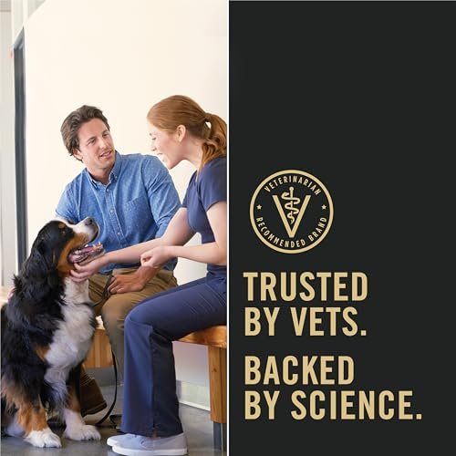 High-Protein Small Breed Dog Food: Chicken & Rice Nutrition for Active Pets - Image 11