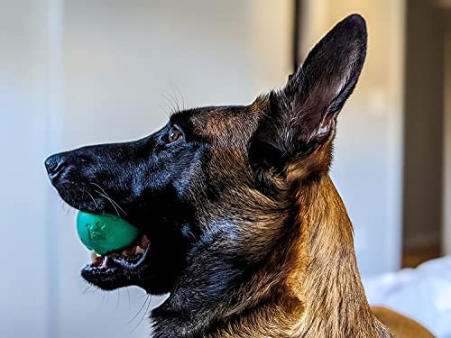 Durable Dog Fetch Balls | Interactive Chew King Toy for All Breeds - Image 8
