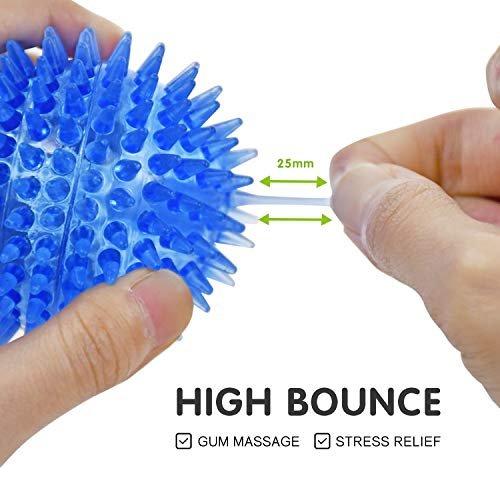 Small Dog Squeaky Balls 6-Pack: Interactive Chew Teething Toys for Puppies - Image 5