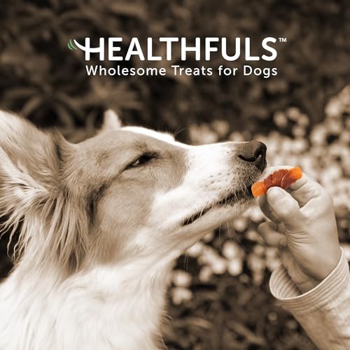 Healthfuls Chicken Wrapped Sweet Potato Dog Treats, 16oz – Natural & Healthy Snack - Image 7