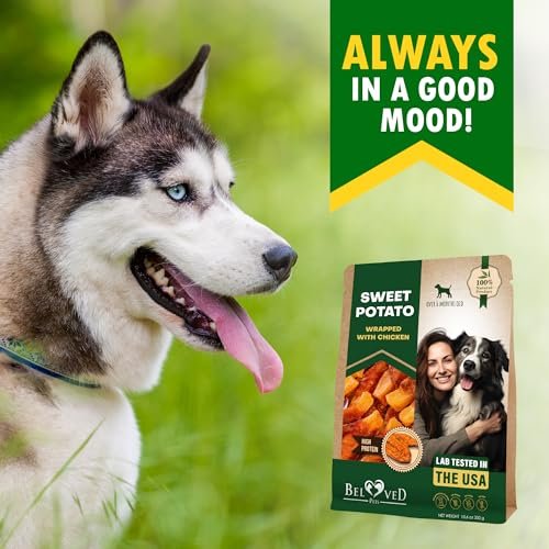 Organic Chicken Sweet Potato Dog Treats | Grain Free Training Chews USA Made - Image 8