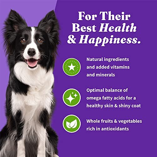 Halo Vegan Adult Dog Food, Holistic Plant Protein, Digestive Health, 10lb - Image 8