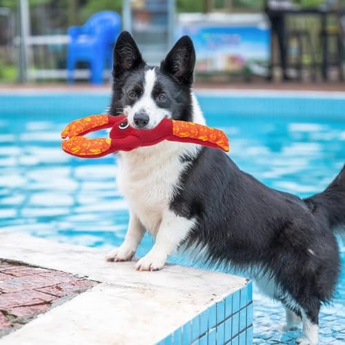 PUPTECK Squeaky Dog Pool Toys 2-Pack – Floating Turtle & Lobster Set - Image 6
