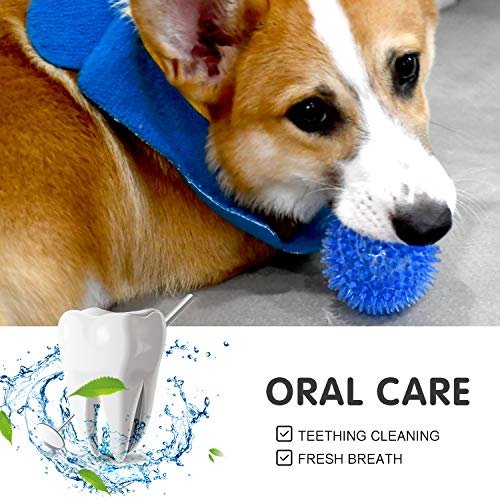 Small Dog Squeaky Balls 6-Pack: Interactive Chew Teething Toys for Puppies - Image 6