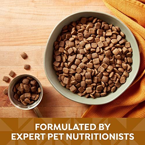 Senior Dog Nutrition: Nature's Recipe Lamb & Brown Rice Dry Food, 24 lb - Image 6