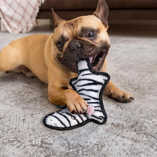 Indestructible Dog Toys: Squeaky Chew Toy for Aggressive Dogs, Tough Teething Relief - Image 5