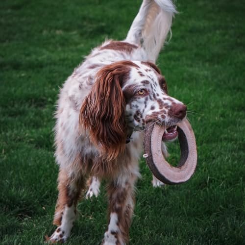 Durable Leather Ring Dog Toy - Interactive Fetch Training Chew Toy - Image 7