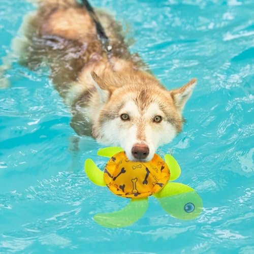 PUPTECK Squeaky Dog Pool Toys 2-Pack – Floating Turtle & Lobster Set - Image 7