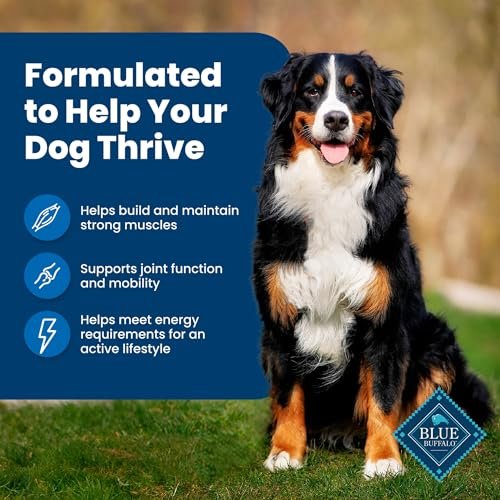 Premium Blue Buffalo Adult Dog Food, Muscle Support, Chicken & Brown Rice, 15 lbs - Image 5