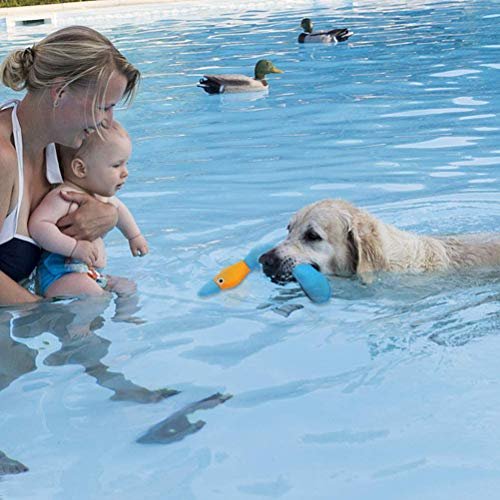 Floating Duck Dog Toys for Pool & Water Play - Squeaky Fetch Training Toy 2 Pack - Image 6