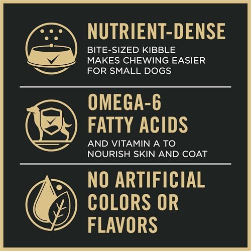 High-Protein Small Breed Dog Food: Chicken & Rice Nutrition for Active Pets - Image 7