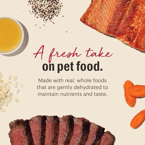 Premium Beef & Salmon Grain Dog Food | Dehydrated, Nutrient-Rich 4lb Box - Image 3