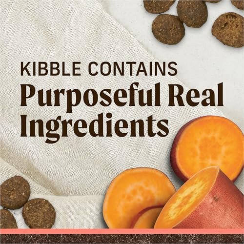 Merrick Grain Free Adult Dog Food - Real Salmon & Sweet Potato Recipe, 22 lb - Image 2