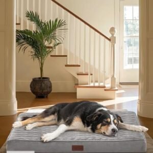 OhGeni Orthopedic Waterproof & Machine Washable Dog Bed for Medium Large Pets, Suitable for Crates, 25D Egg Crate Foam, Non-Slip Bottom & Removable Cover, Gifts for Dad, 35 Inches(Gray)
